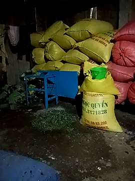 Bilik Sembang Langsung Linkk-2k