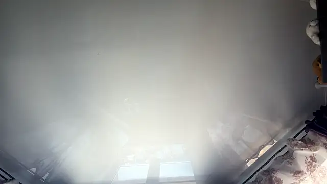 BuzzingRaidのライブチャットルーム