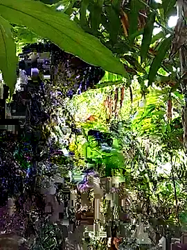 Anmy2002 লাইভ চ্যাট রুম
