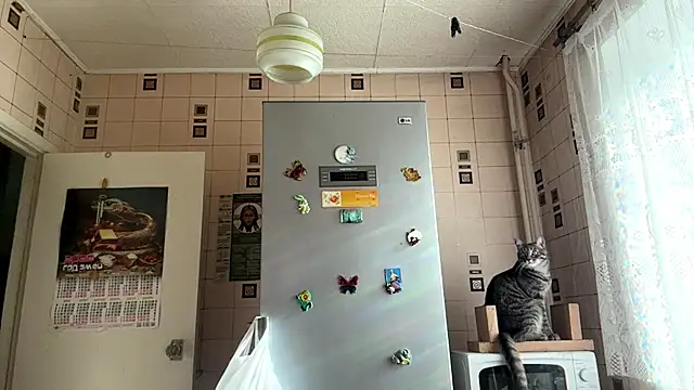 Sala de chat ao vivo de JoannaMuniz