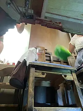 Živá chatovací místnost elleShow