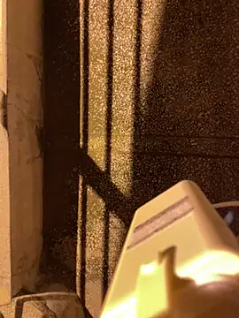 Živá chatovací místnost elleShow