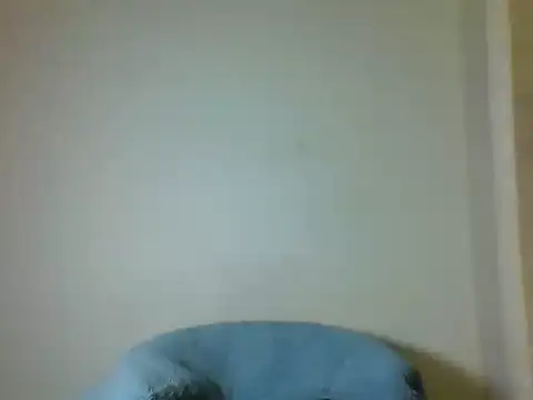 Sexy_curvie Ruang Obrolan Langsung