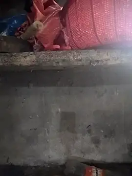 Živá chatovací místnost nalya1