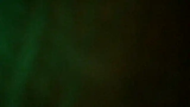 Selena__LuxX 실시간 채팅방