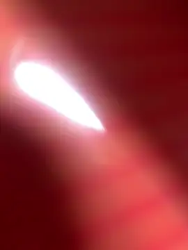 hypekittyboy Cameră chat live