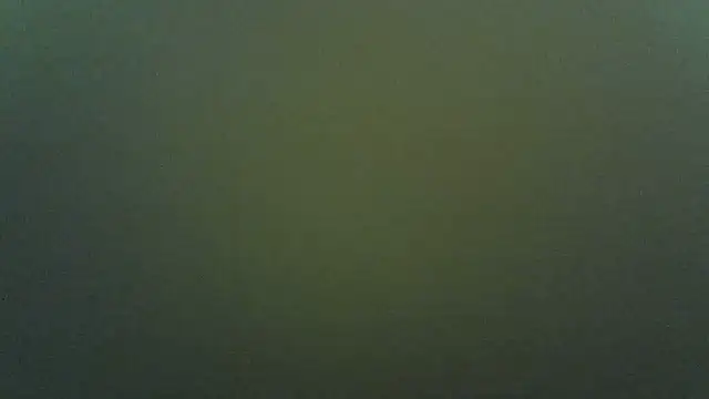 Queentiffaのライブチャットルーム