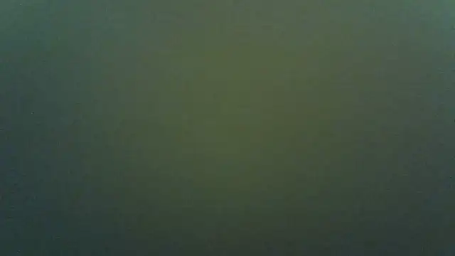 Queentiffa 现场聊天室