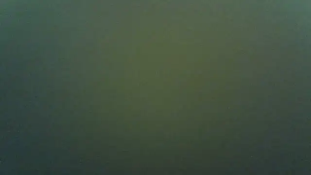 Queentiffa's Live Chat Room