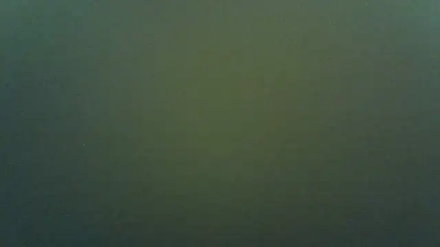 Queentiffan Live chat-huone
