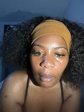 Chatroom en direct de thethicktities