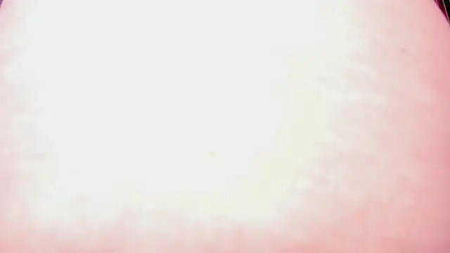 susan-lane 现场聊天室