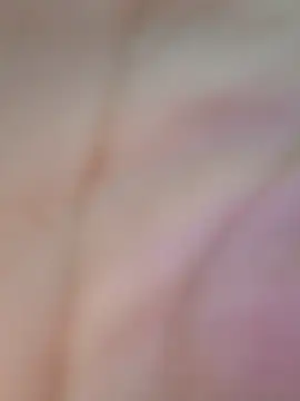 Isa62G Live Chatraum