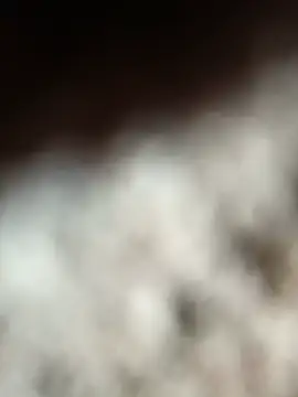 Hot_babli625 现场聊天室