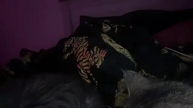 Sala de chat en directo de xxxbunnxyxxx