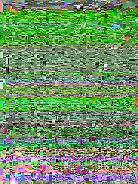 Sala de chat ao vivo de _Pumkinpie_