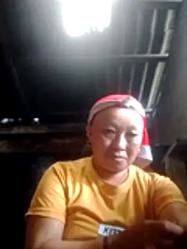 Lidaa-a – live chatrum