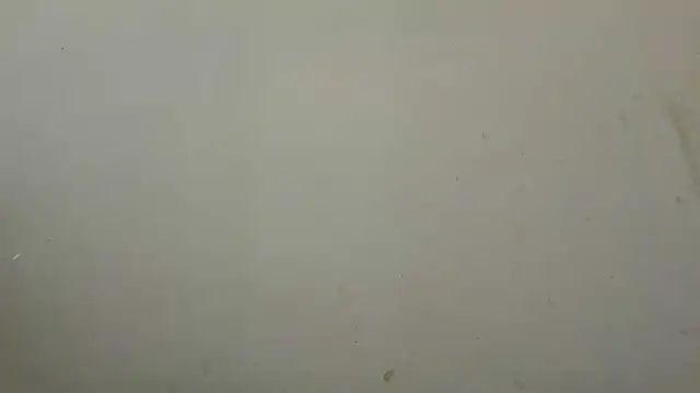 ShavonStride Cameră chat live