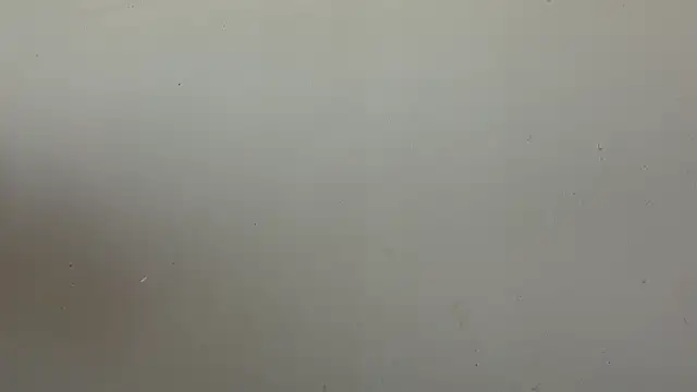 Živá chatovací místnost ShavonStride
