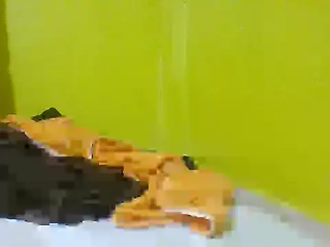 Sala de chat ao vivo de Hot_Shawleen