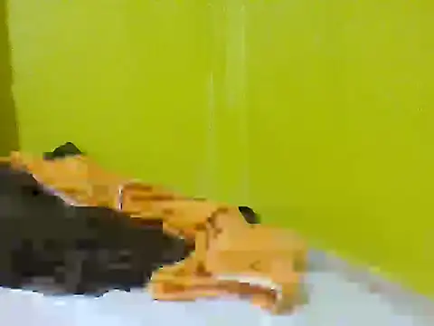 Hot_Shawleen чат на живо