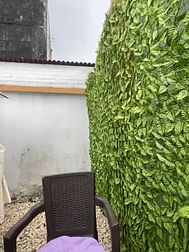 Miss_Diosa 실시간 채팅방