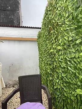 Miss_Diosa Live Chatraum