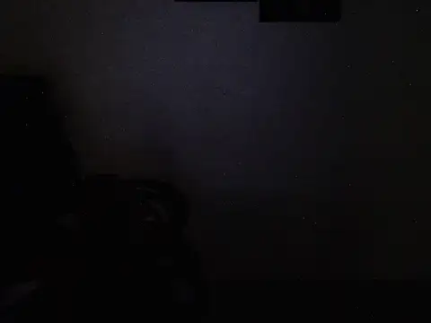 Živá chatovací místnost Loving_heena