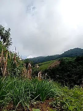 Ella_my 现场聊天室