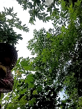 Ella_my 现场聊天室