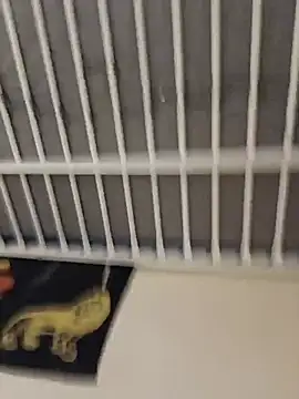 Živá chatovací místnost Rastawhyte