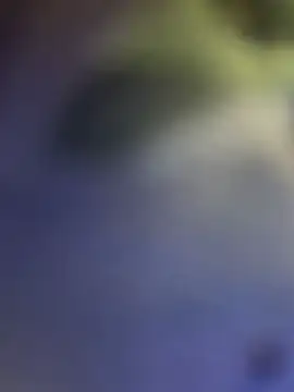 taohua188 Live Chatraum