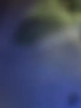 Chat ao vivo de taohua188
