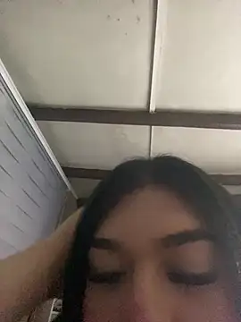 Phòng Chat Trực Tiếp -felixiia