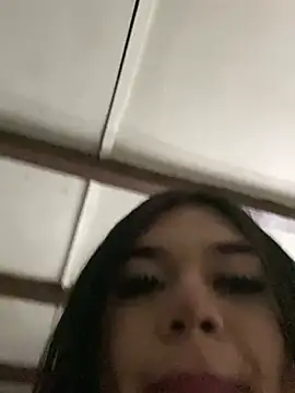 -felixiia чат на живо