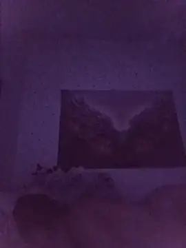 RoxyTattooo69 现场聊天室