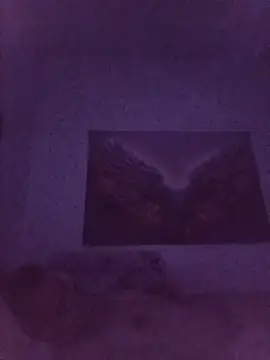 Chat soba uživo modela RoxyTattooo69