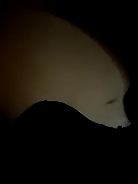 Phòng Chat Trực Tiếp hot_silkk