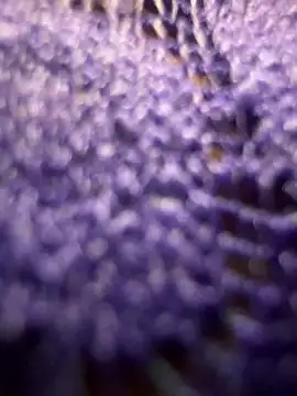 ruanasilva Cameră chat live