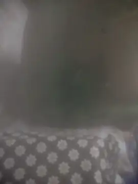 חדר צ'אט בשידור חי של 8414033011_wpp