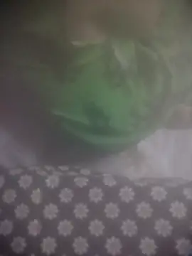 8414033011_wpp 실시간 채팅방