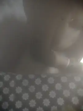 חדר צ'אט בשידור חי של 8414033011_wpp