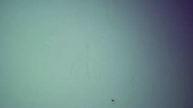 Tati_perversegir 실시간 채팅방