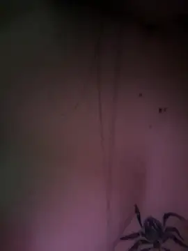 Brittany_Roxx: δωμάτιο απευθείας συνομιλίας