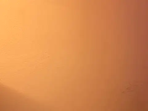 Sussyanny чат на живо