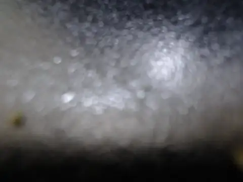 Chat ao vivo de SexyHotDee