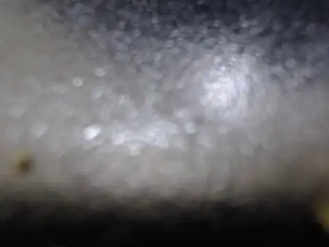 SexyHotDee Cameră chat live