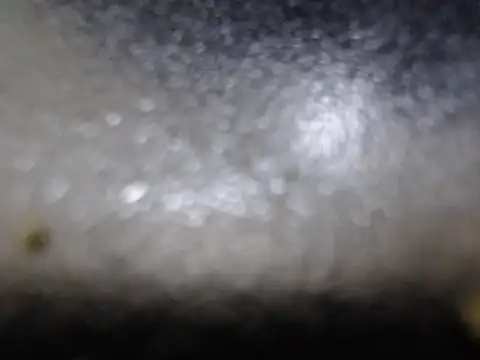 Sala de chat ao vivo de SexyHotDee