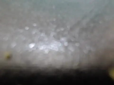 SexyHotDee Cameră chat live