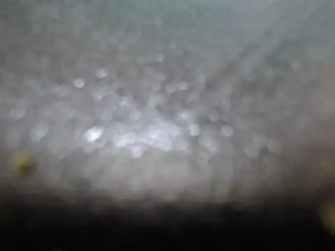 SexyHotDee Live Chatraum